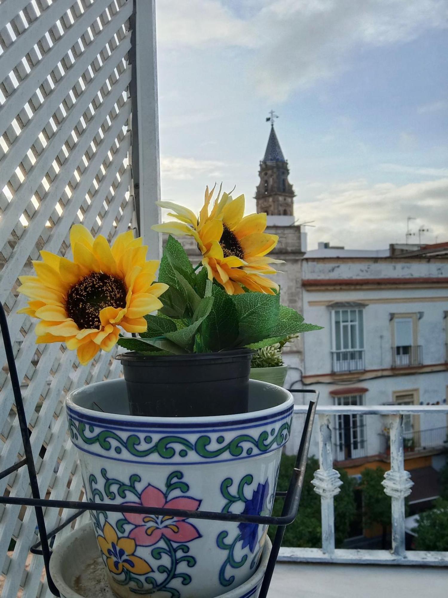 Top Atico Estudio Plaza Del Arenal - Terraza Con Vistas 헤레스 외부 사진